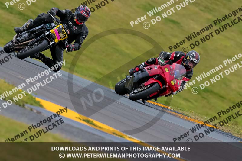 PJ Motorsport 2019;anglesey no limits trackday;anglesey photographs;anglesey trackday photographs;enduro digital images;event digital images;eventdigitalimages;no limits trackdays;peter wileman photography;racing digital images;trac mon;trackday digital images;trackday photos;ty croes